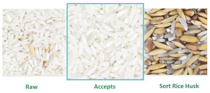 Intelligent Mini Almond Sorting Machine Cashew Color Sorter Machine