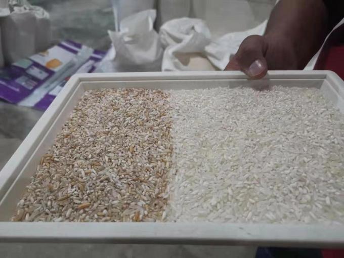 Intelligent Japonica Thailand Rice Color Sorter Machine Pecan Sorting