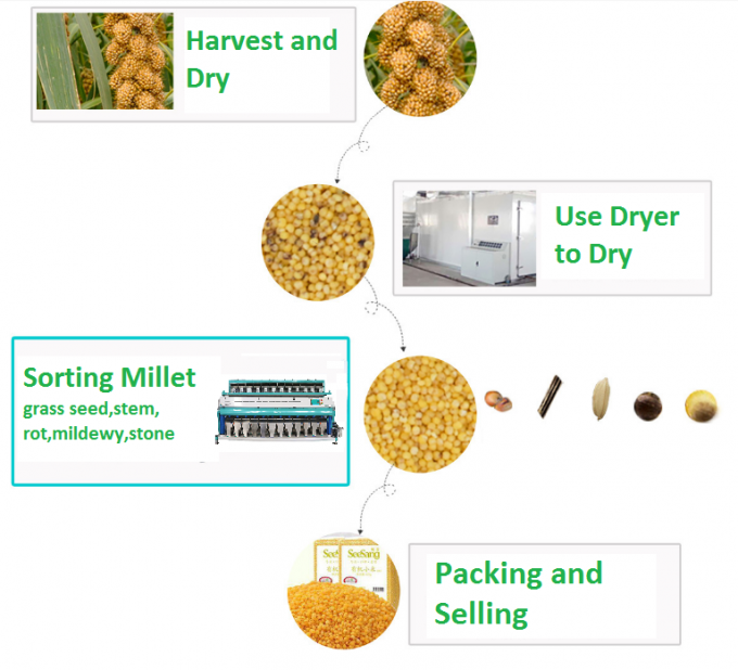 Automatic Full Color CCD Cashew Nut Color Sorter Machine For Groundnut ...