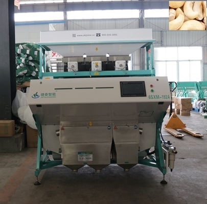 OEM Food Grain Walnut Sorting Machine for Hazel Chestnut sorting