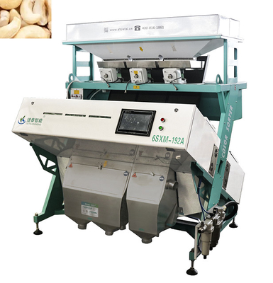 OEM Food Grain Walnut Sorting Machine for Hazel Chestnut sorting