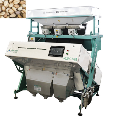 High Precision IOT Seed Color Sorter Machine For Pecan Sorting